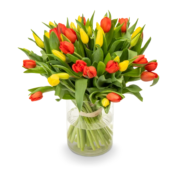Kytice tulipánů